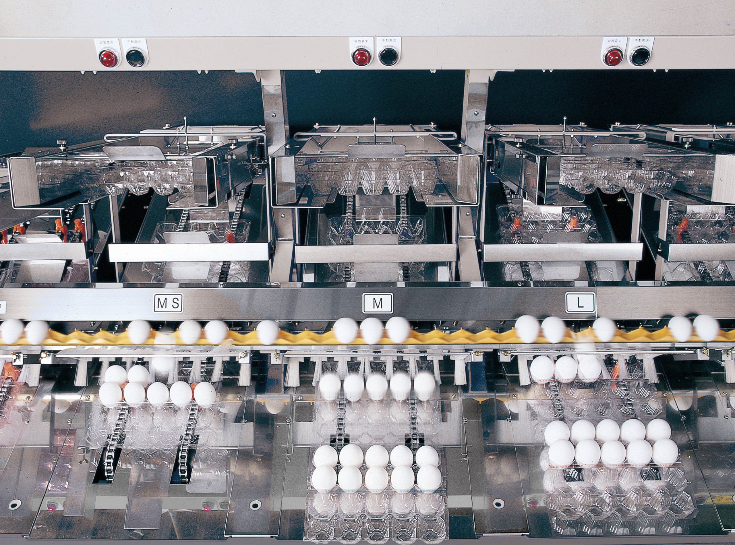 Fresh Egg Cleaning Grading Packaging Line